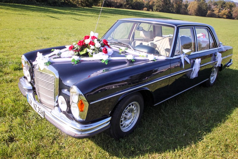 IMG 0991 bearbeitet 1