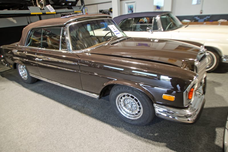 IMG 3328 bearbeitet 2