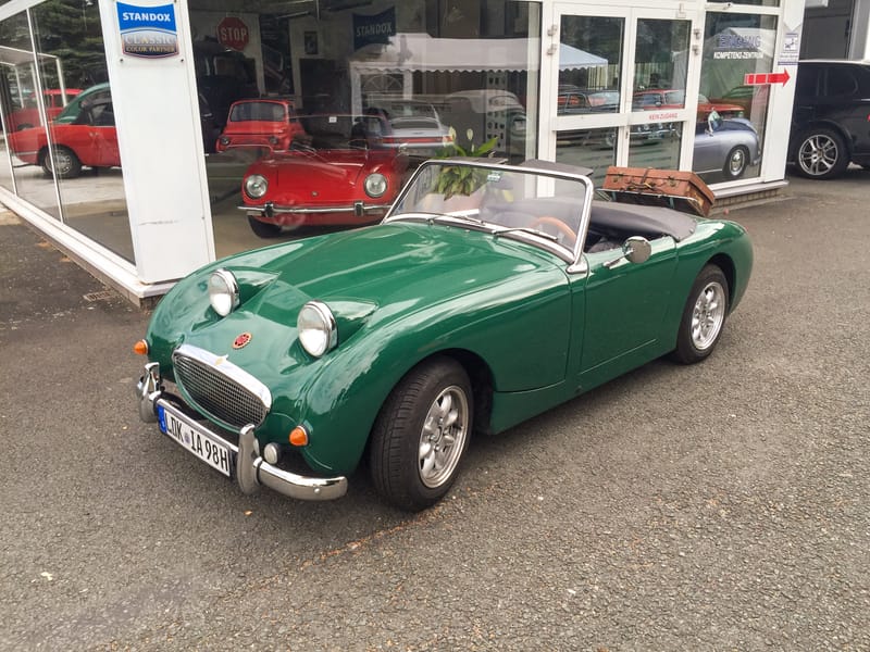 IMG 3713 bearbeitet 1