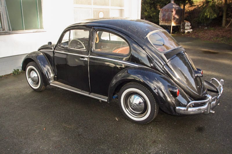 IMG 4239 bearbeitet 1