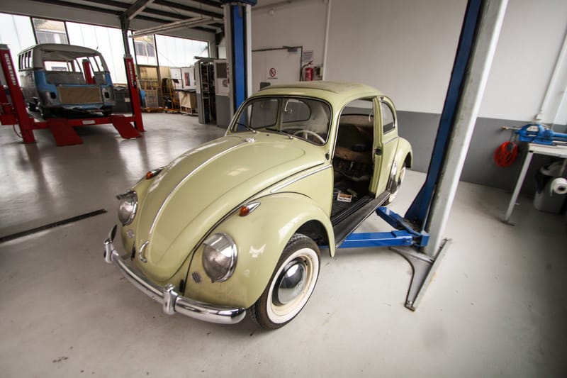 IMG 4410 bearbeitet 1