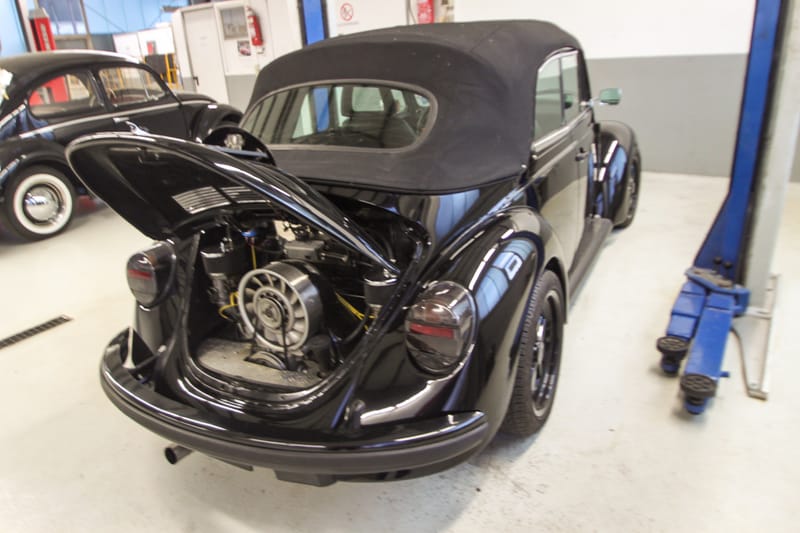 IMG 5057 bearbeitet 1