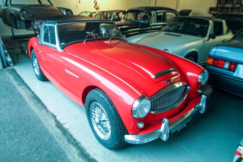 IMG 6670 bearbeitet 1