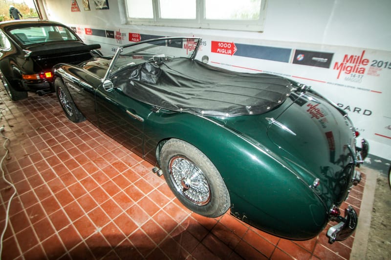 IMG 6778 bearbeitet 1