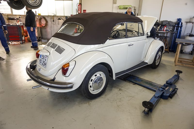 DSC5398 bearbeitet 1