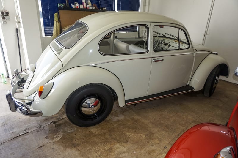 DSC5613 bearbeitet 1